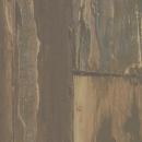 アイカメラミン化粧板 TJY10020K/4×8