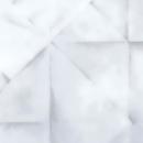 アイカメラミン化粧板 L-10021KG/4×8