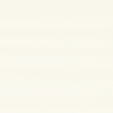 アイカセラール FKJ6200ZYN19 3X8(1枚入り)