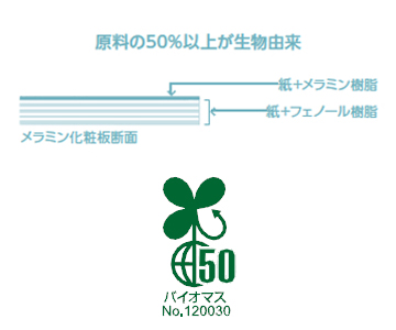 アイカメラミン化粧板 TNY10044K/4×8