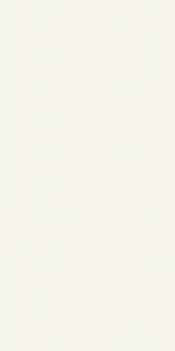 アイカポリ・シート化粧合板 RK-6006/4×8