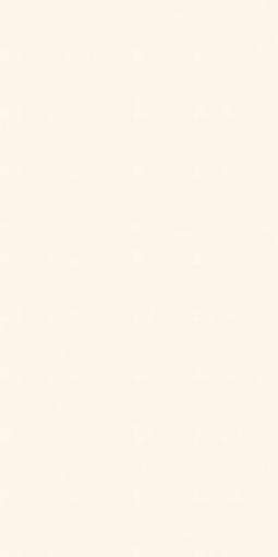 アイカポリ・シート化粧合板 RK-6010/4×8