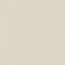 アイカポリ・シート化粧合板 RK-6017/3×6