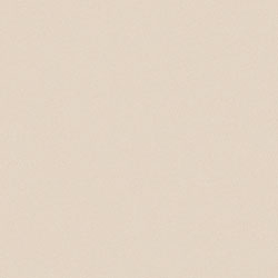 アイカポリ・シート化粧合板 RK-6104/3X6