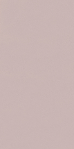 アイカポリ・シート化粧合板 RK-6107/4×8