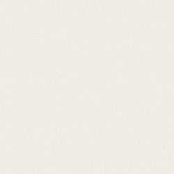 アイカポリ・シート化粧合板 RK-6108/4×8
