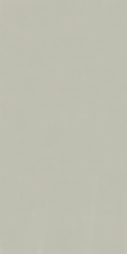 アイカポリ・シート化粧合板 RK-6113/4×8