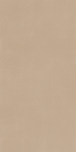 アイカポリ・シート化粧合板 RK-6203/3×6