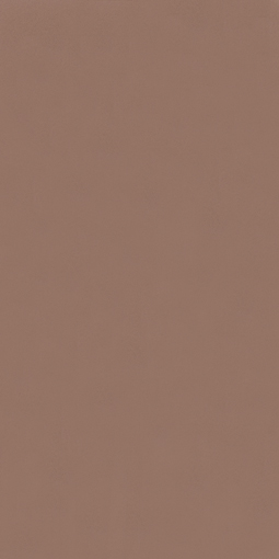 アイカポリ・シート化粧合板 RK-6204/4×8