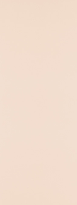 アイカセラール FAN1967ZMN 3X8(1枚入り)