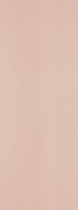 アイカセラール FAN1923ZMN 3X8(1枚入り)