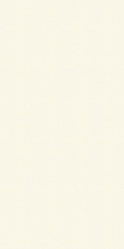 アイカポリ・シート化粧合板 RK-6009/4×8