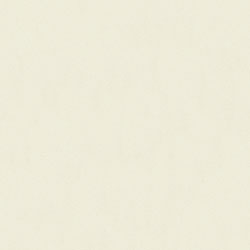 アイカメラミン化粧板 K-6011KN 4×8