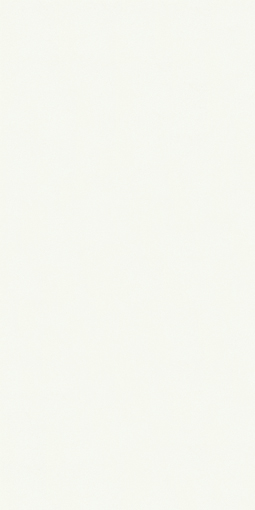 アイカポリ・シート化粧合板 RK-6005/4×8