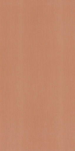 アイカポリ・シート化粧合板 LP-2221/3×6