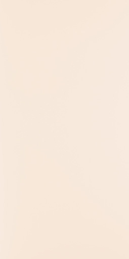 アイカポリ・シート化粧合板 RB-5813/4×8