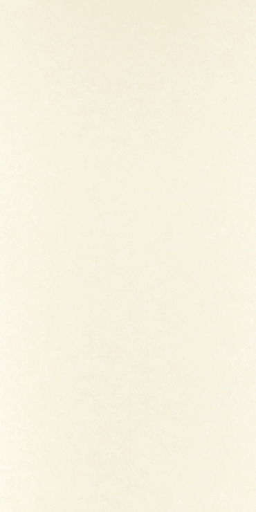 スクラッチレス(耐擦り傷性メラミン化粧板) SAL 1811KM/3×6