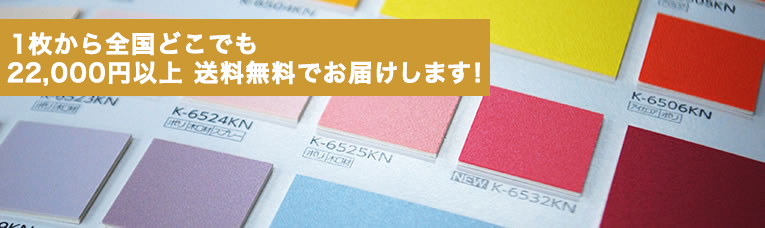 22,000円以上送料無料